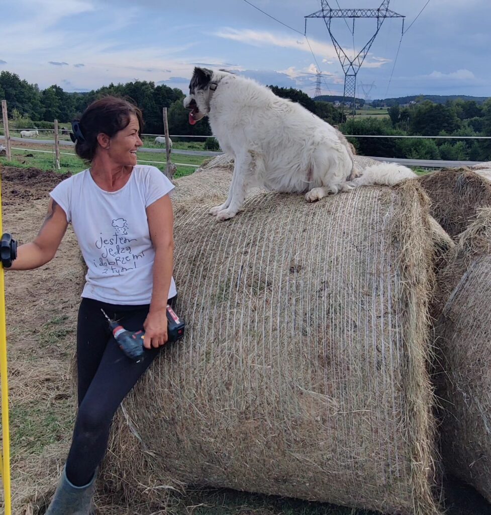 #azyldlakonikucykowo